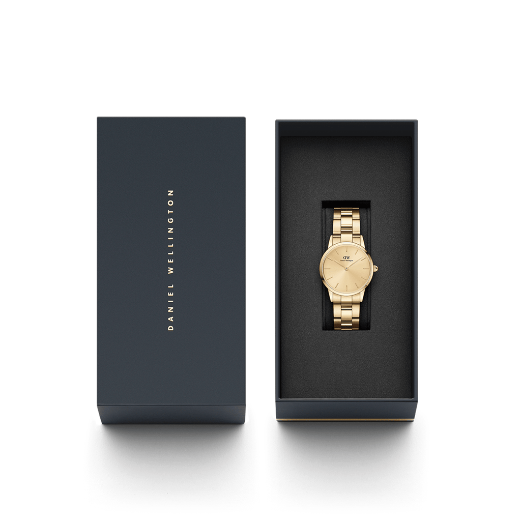 DW Iconic Link Unitone G Watch